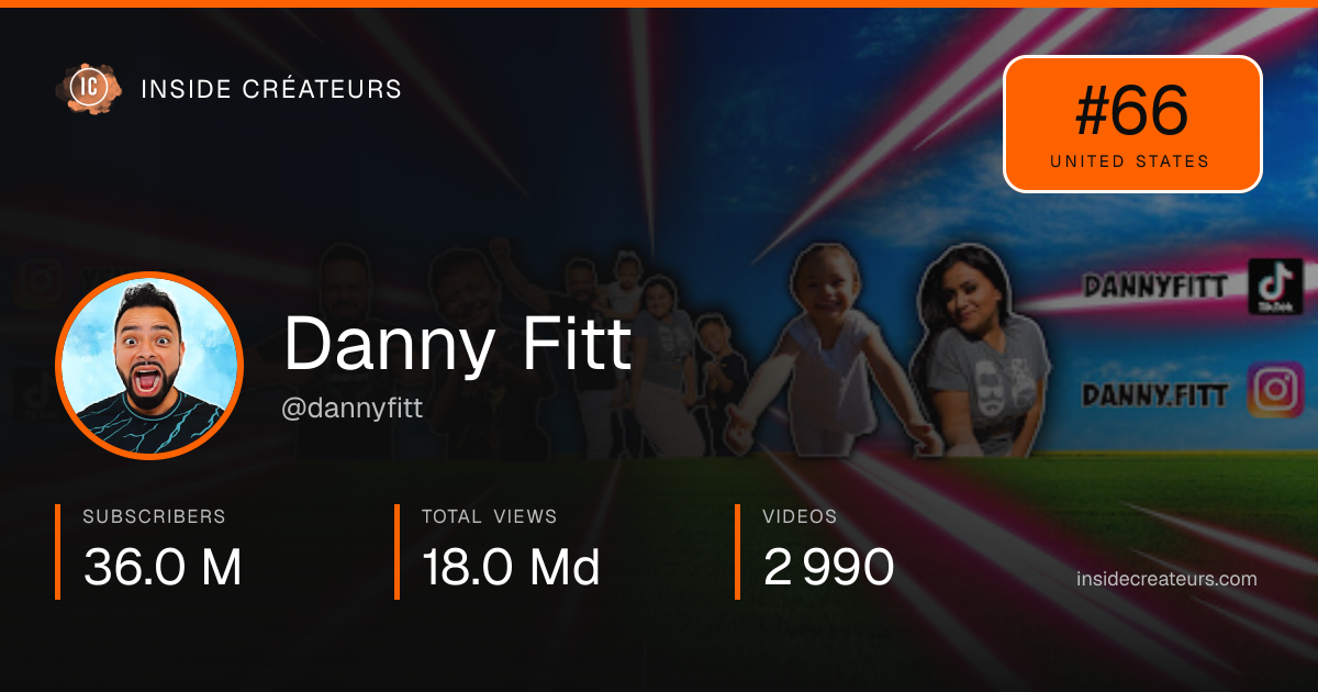 Danny Fitt stats card