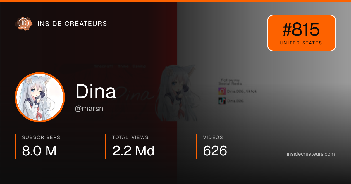 Dina stats card