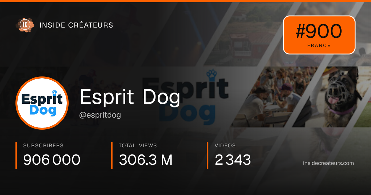 Esprit Dog stats card