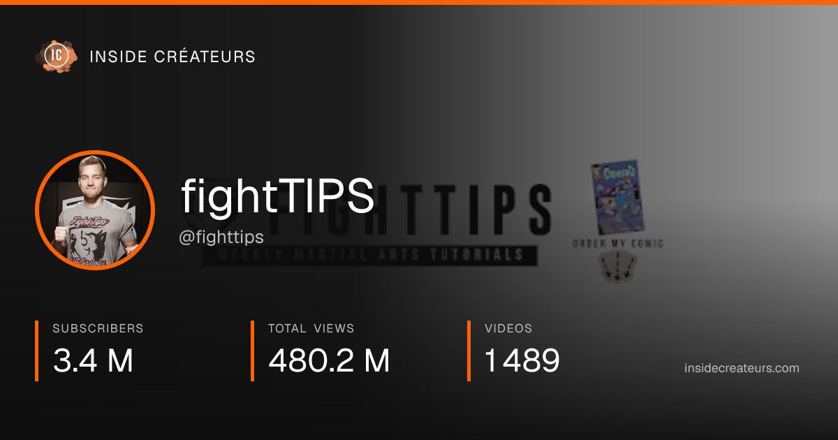fightTIPS stats card