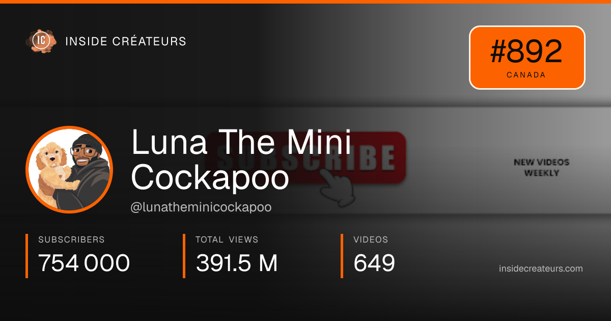 Luna The Mini Cockapoo stats card
