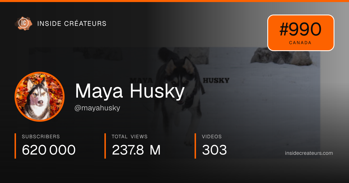 Maya Husky stats card