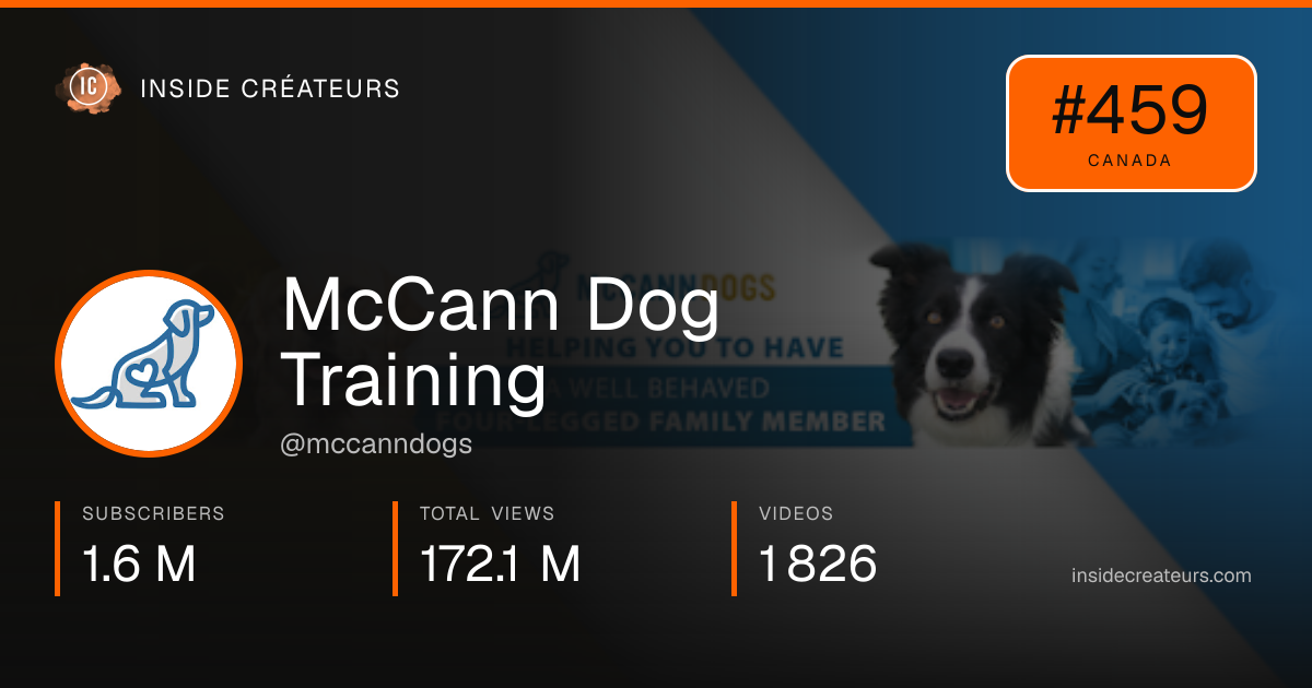 McCann Dog Training stats card