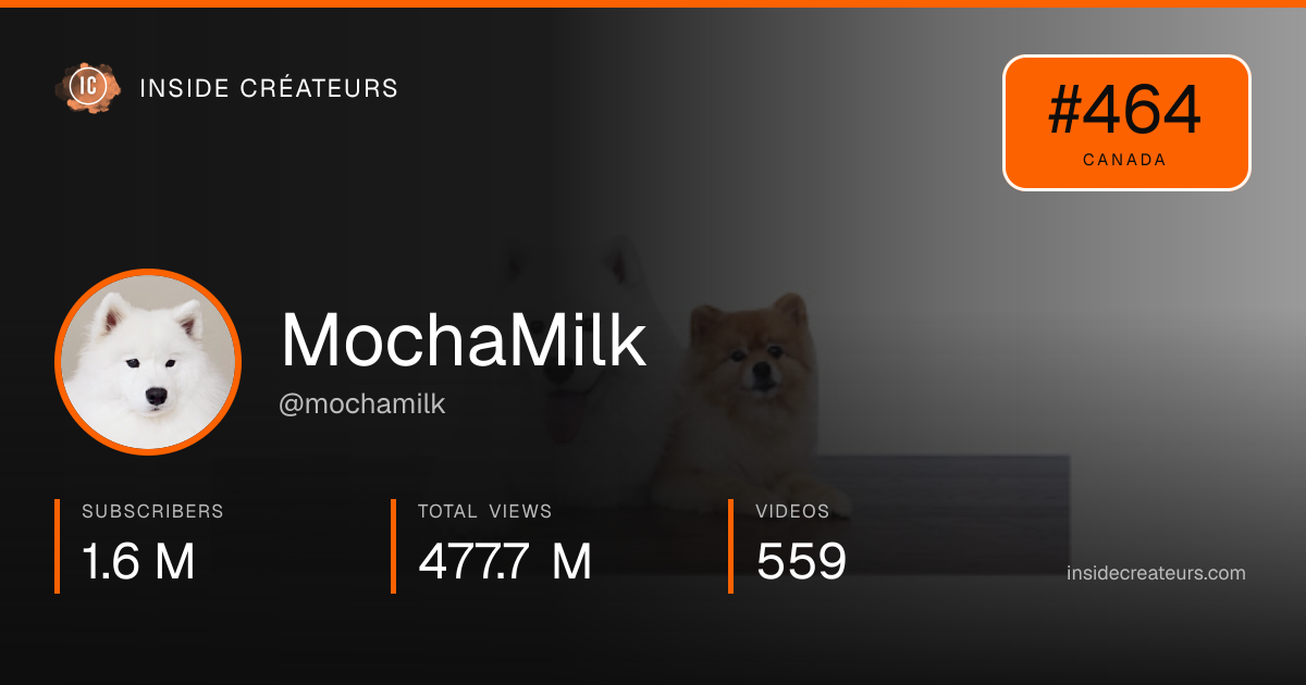 MochaMilk stats card