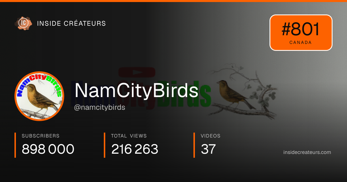 NamCityBirds stats card