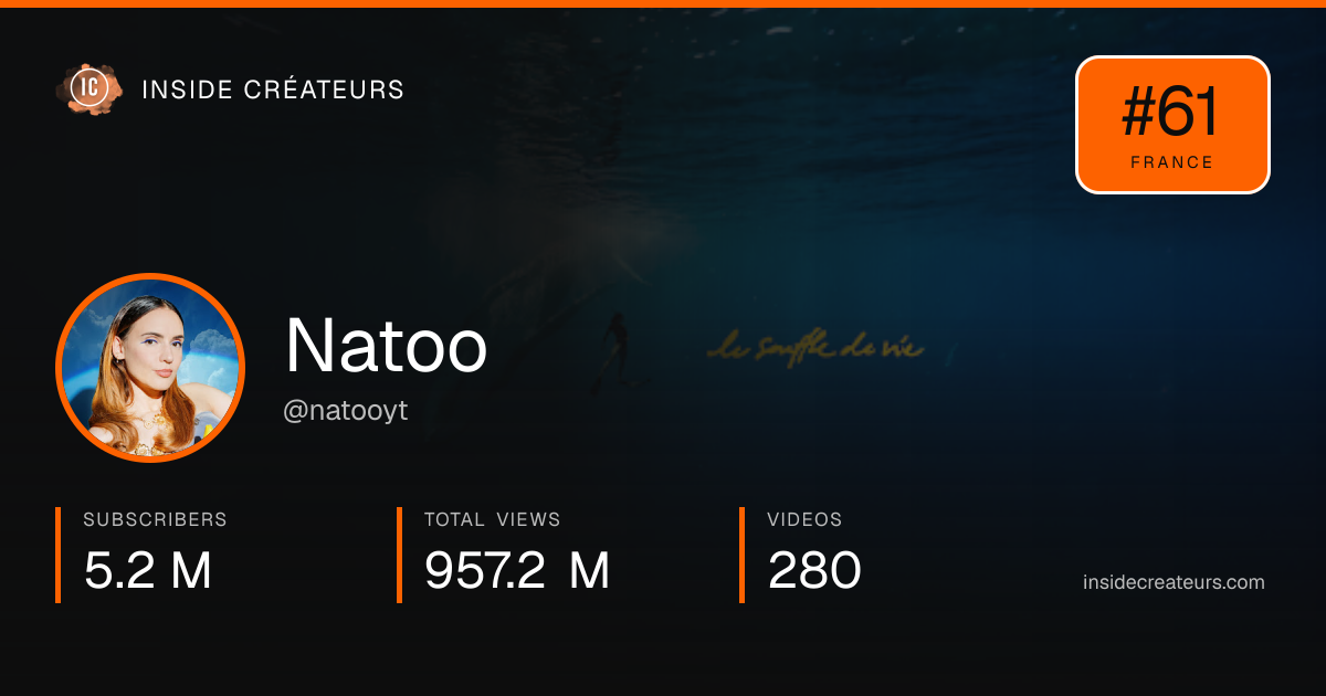 Natoo stats card