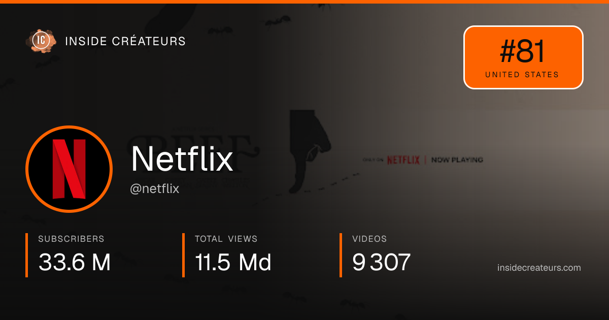 Netflix stats card