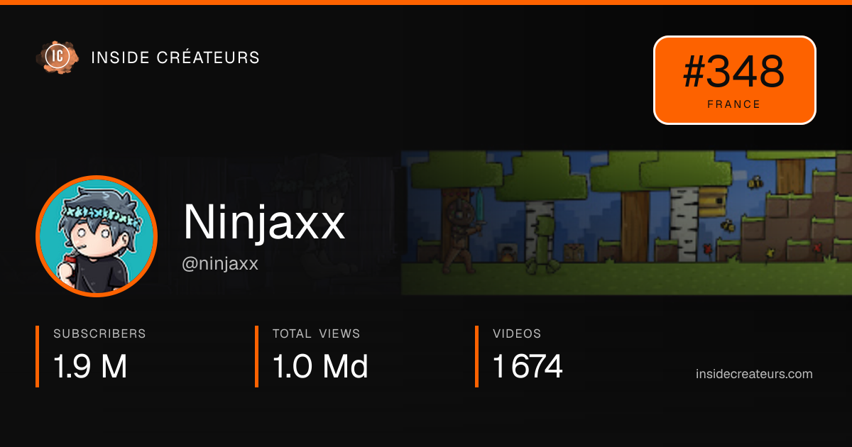 Ninjaxx stats card