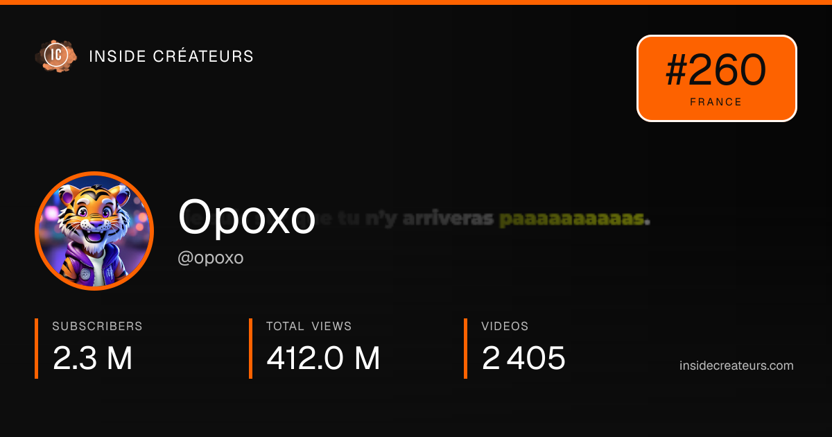 Opoxo stats card
