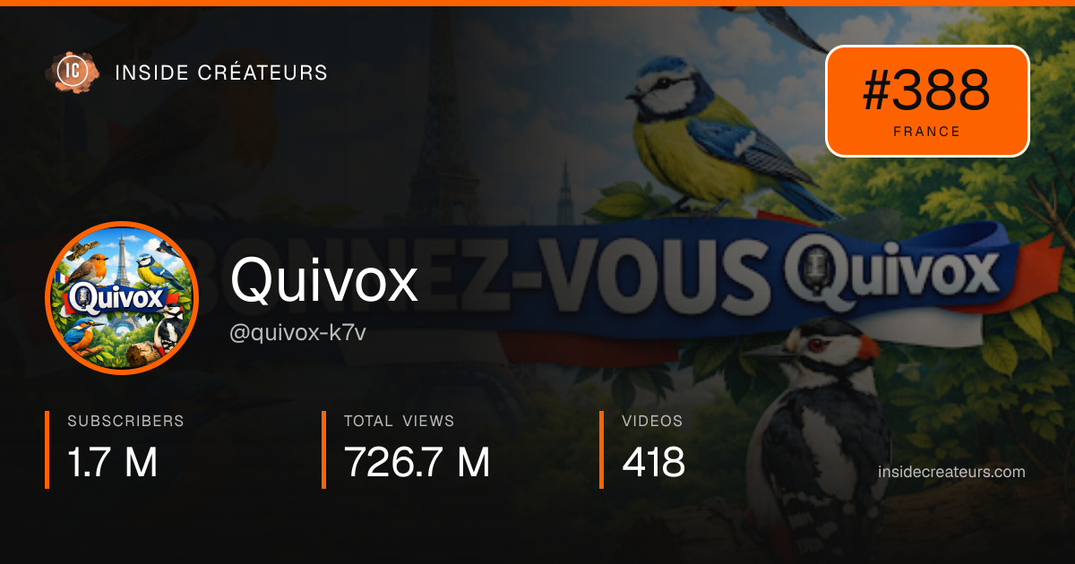 Quivox stats card