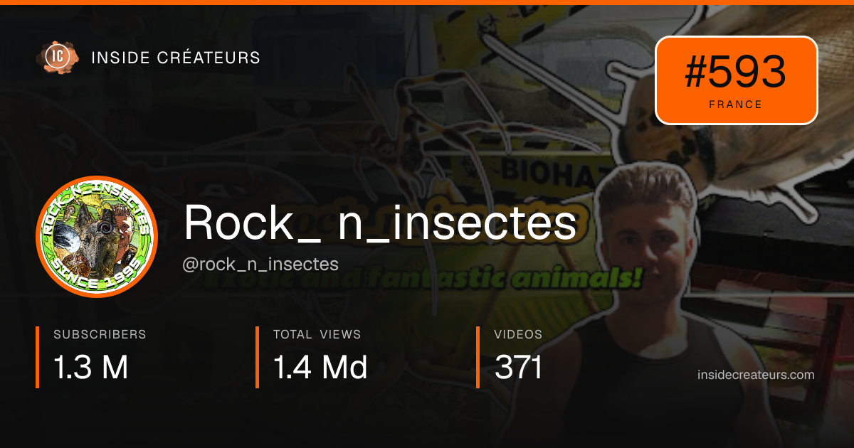 Rock_ n_insectes stats card