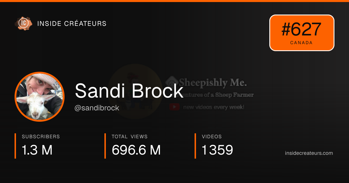 Sandi Brock stats card