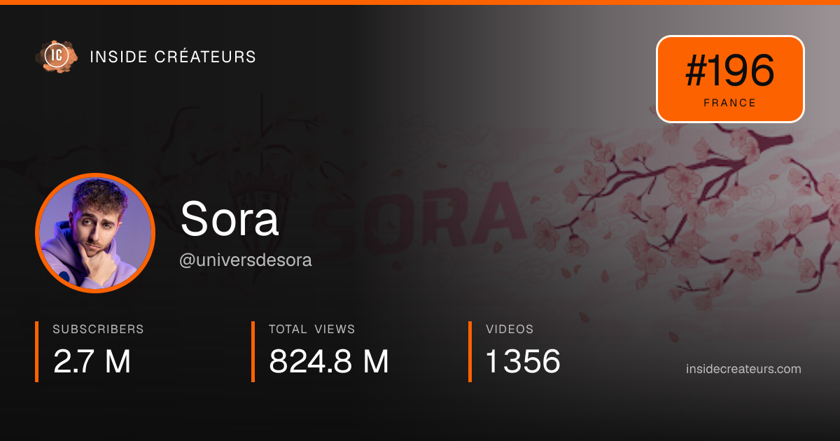 Sora stats card