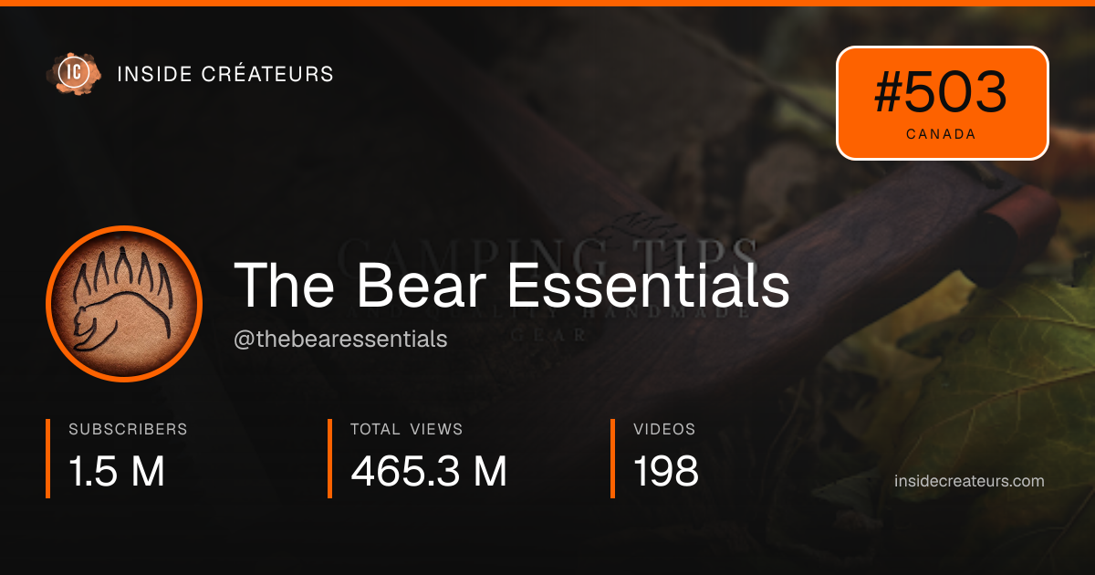 The Bear Essentials stats card