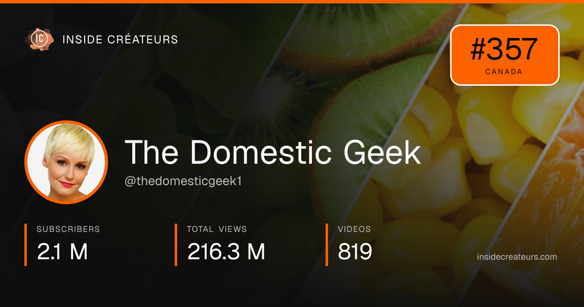 The Domestic Geek stats card