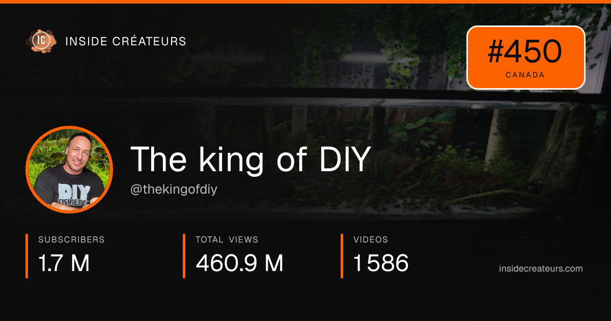 The king of DIY stats card