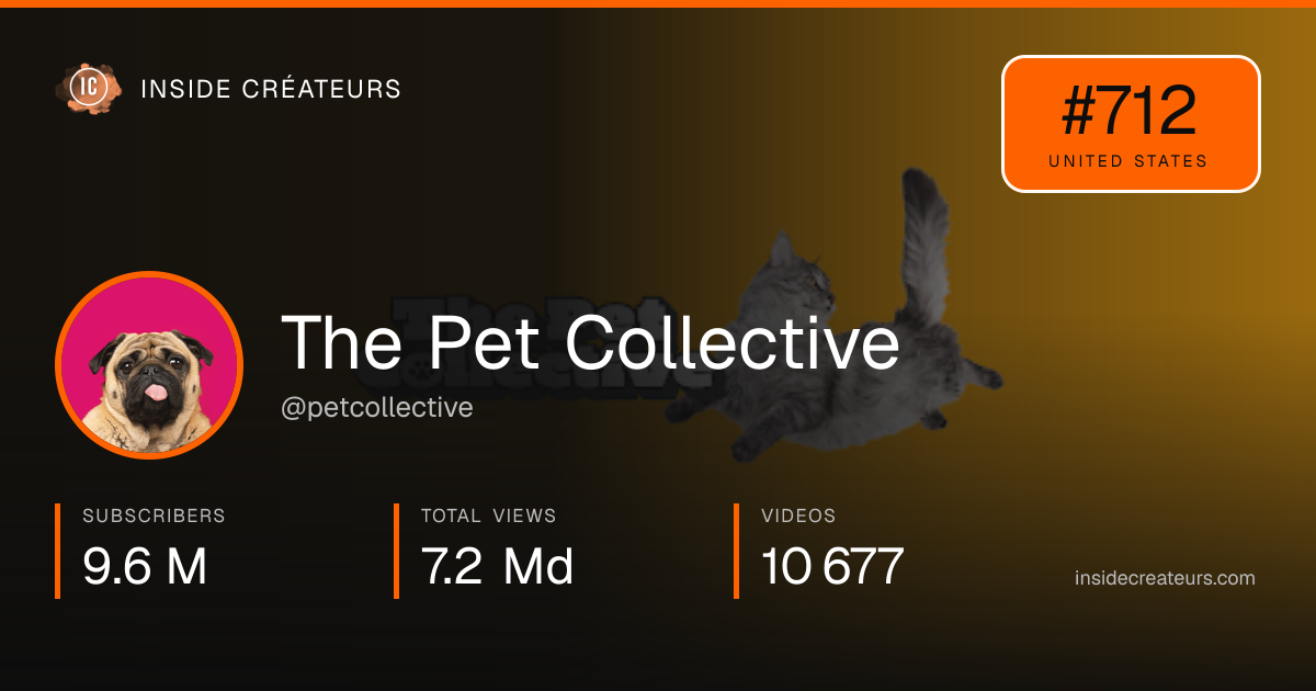 The Pet Collective stats card