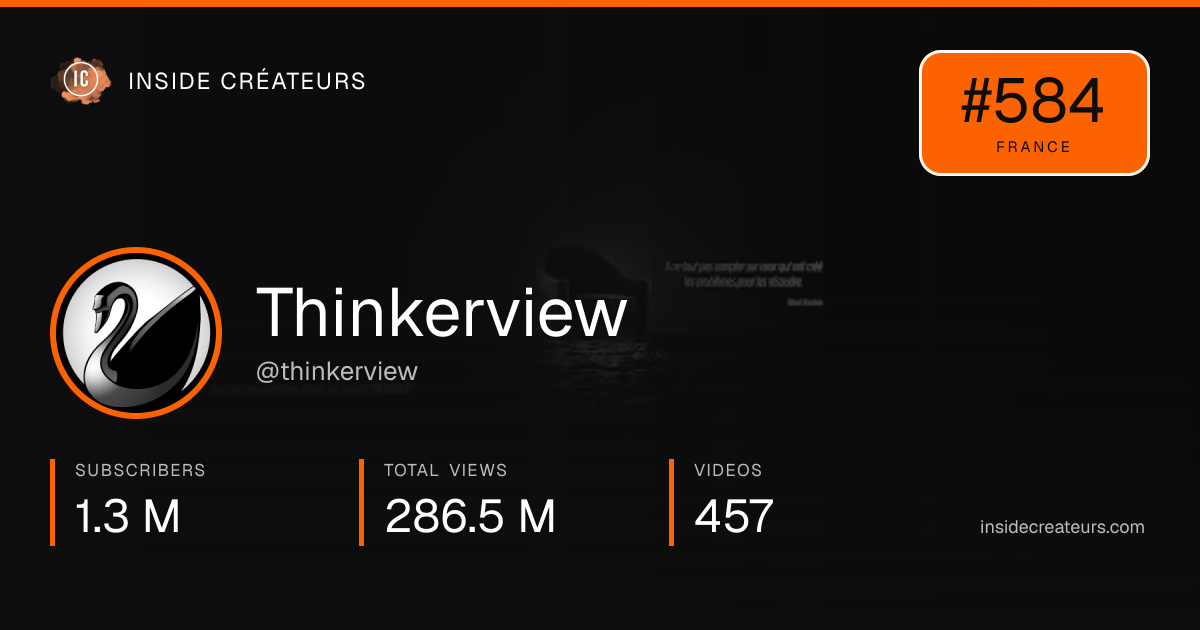 Thinkerview stats card