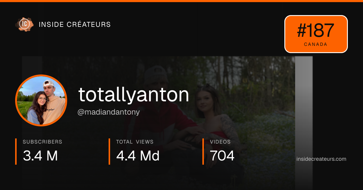 totallyanton stats card