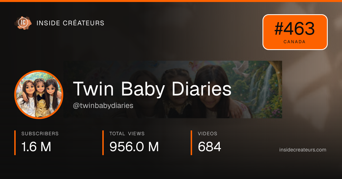 Twin Baby Diaries stats card