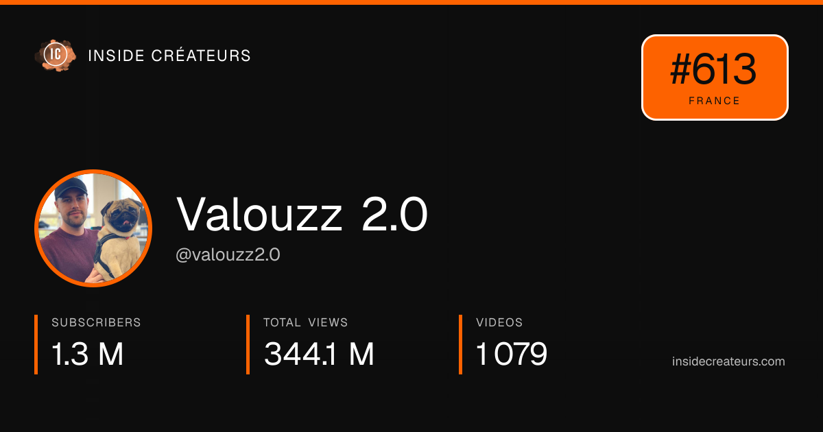 Valouzz 2.0 stats card