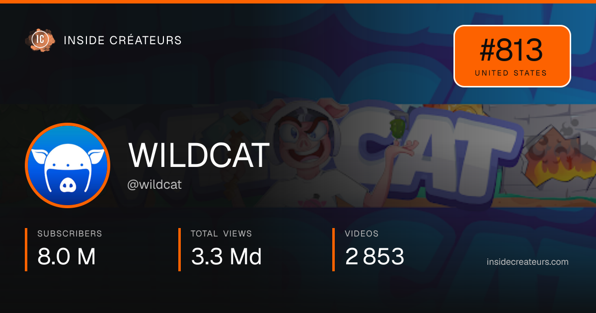 WILDCAT stats card