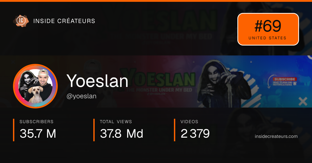 Yoeslan stats card